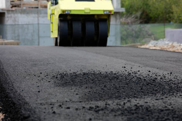 Best Driveway Pavers Near Me  in Alamo, NV