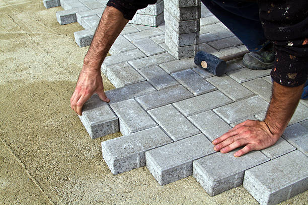 Best Local Driveway Pavers  in Alamo, NV